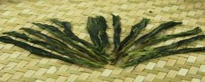 太平猴魁茶叶怎么泡好喝