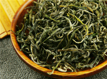 太平猴魁茶树