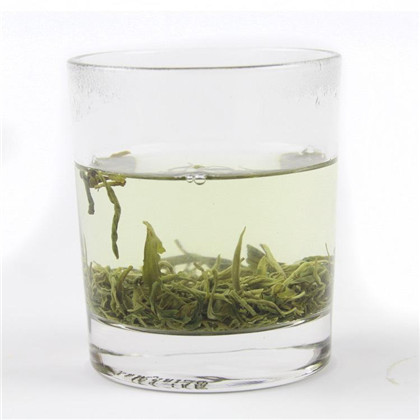 太平猴魁茶树