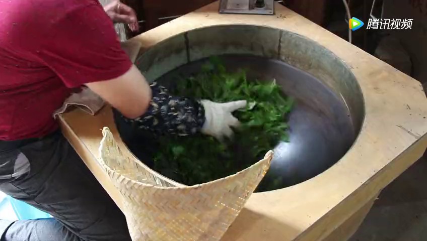 猴坑猴魁手工杀青